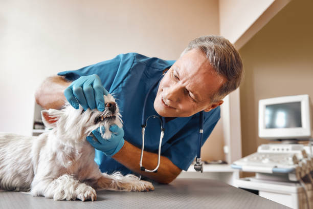 Best Emergency Tooth Extraction in Rothschild, WI